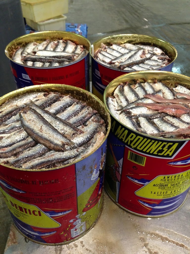 Barriles de anchoa del cantábrico olasagasti ya maduras 