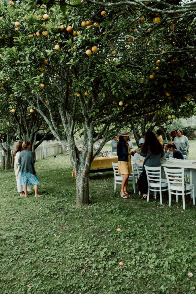 Mesa bajo los naranjos para el taller Silvestre